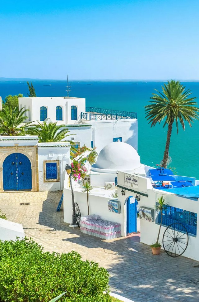 Excursion taxi Sidi Bou Saïd Tunisie – village bleu et blanc