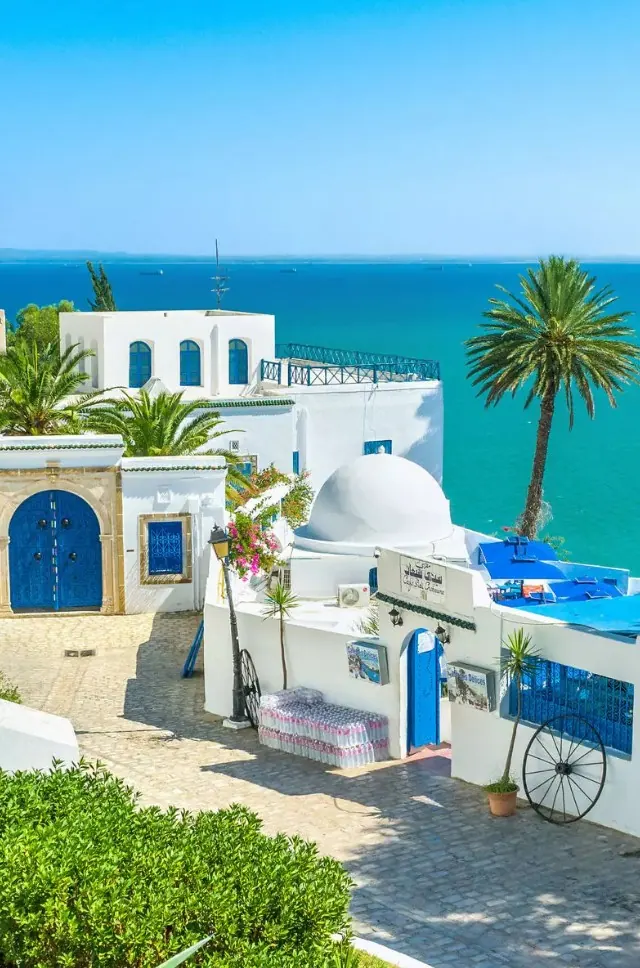 Excursion taxi Sidi Bou Saïd et Carthage – village bleu et blanc face au golfe de Tunis